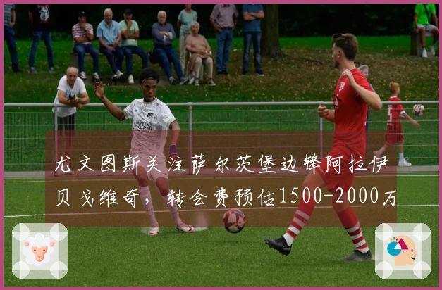 尤文图斯关注萨尔茨堡边锋阿拉伊贝戈维奇，转会费预估1500-2000万